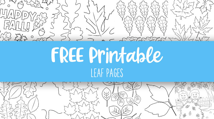 Leaf outlines templates coloring pages