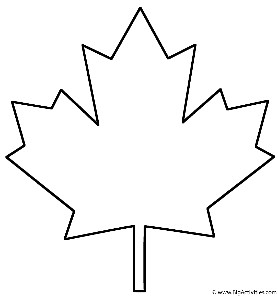 Maple leaf