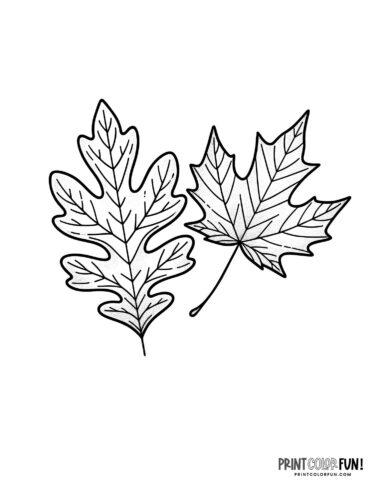 Fall leaf coloring pages with easy craft learning activities that will spark young imaginations at