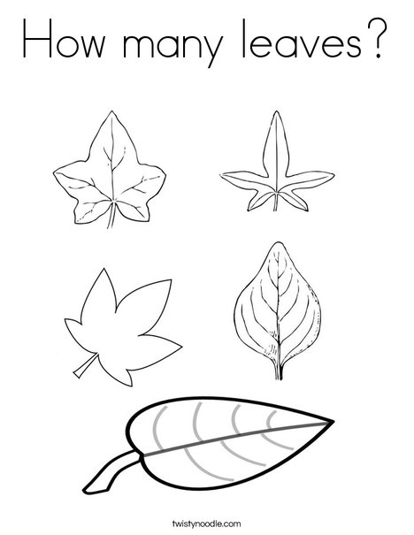 How many leaves coloring page