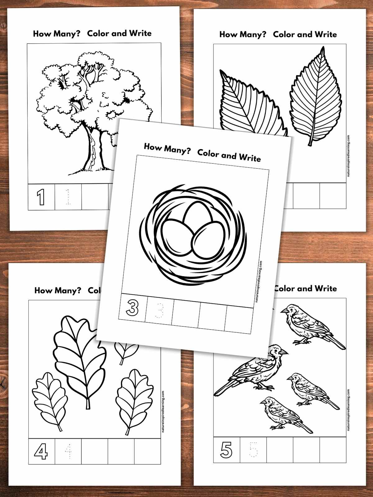 Number recognition worksheets