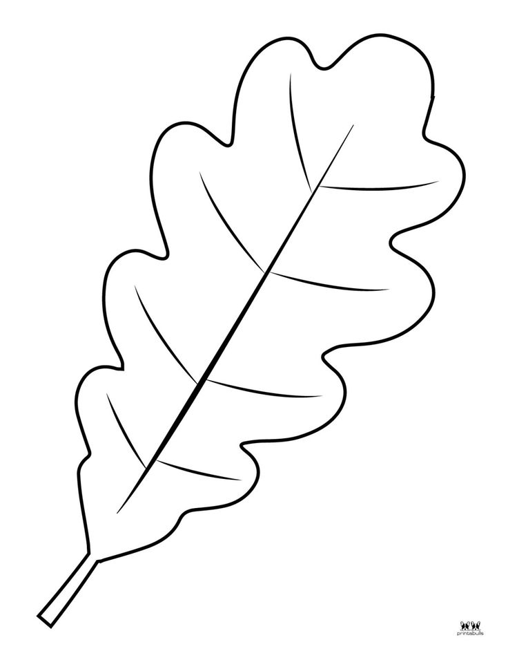 Leaf outlines templates coloring pages