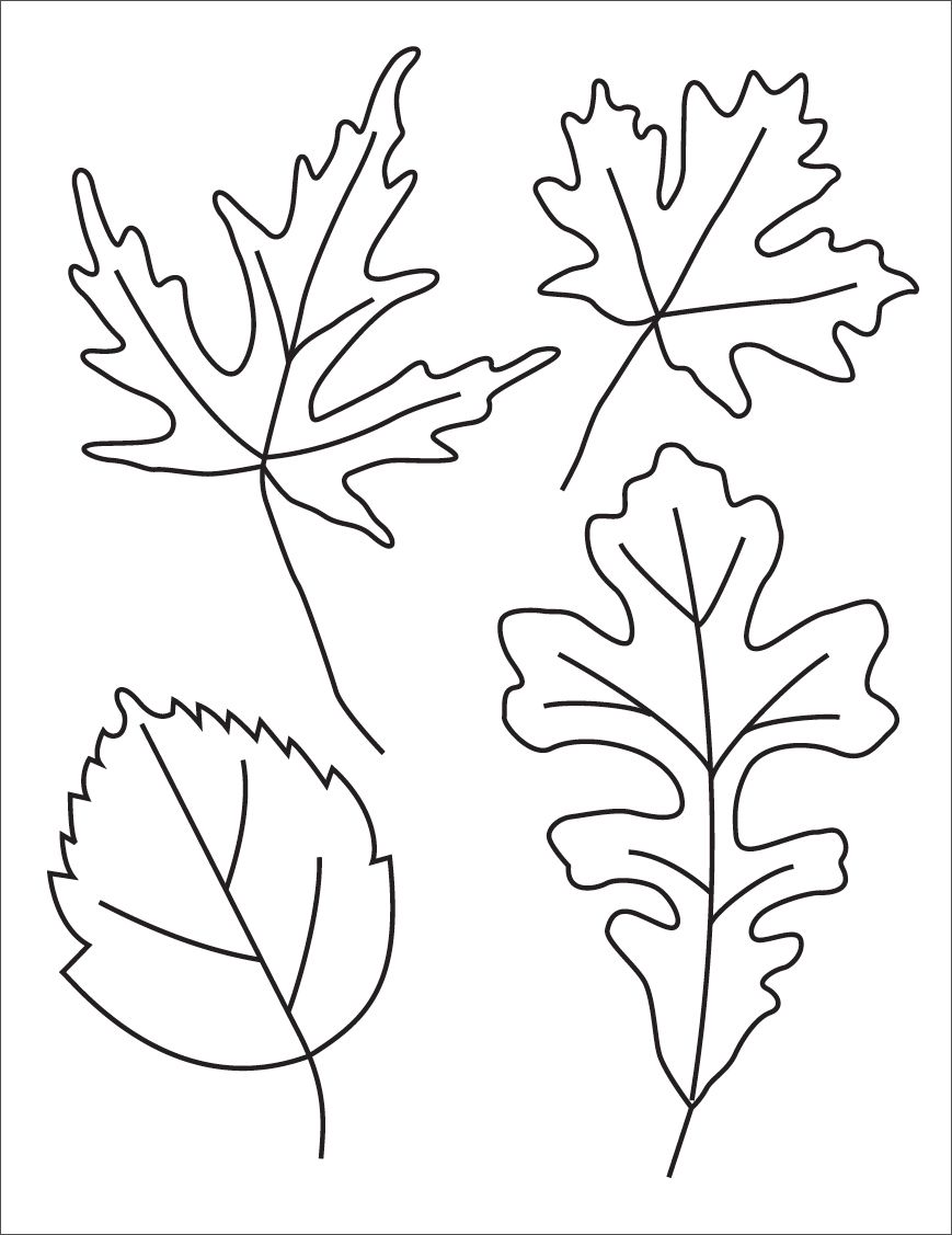 Easy how to draw a maple leaf tutorial and maple leaf coloring page leaf coloring page leaf drawing fall leaves coloring pages