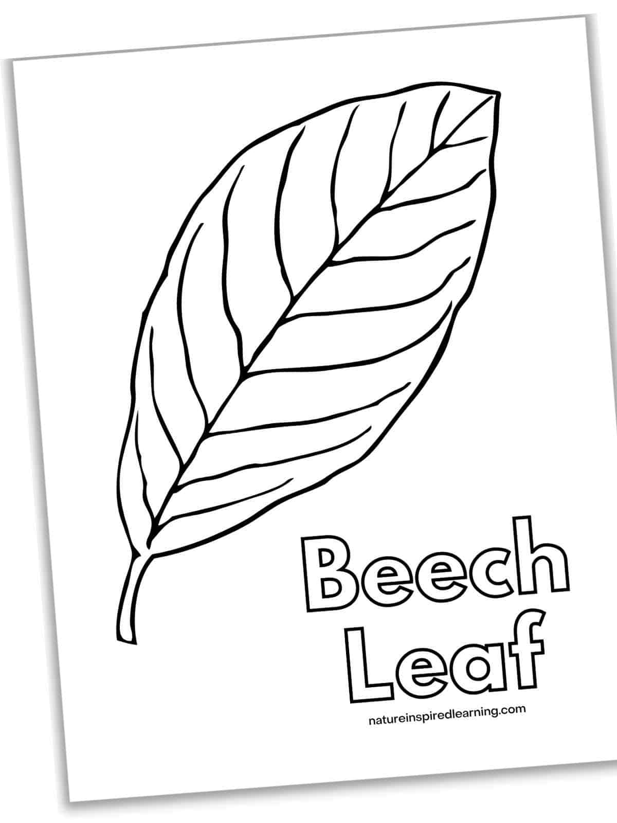 Fall leaf coloring pages perfect for autumn