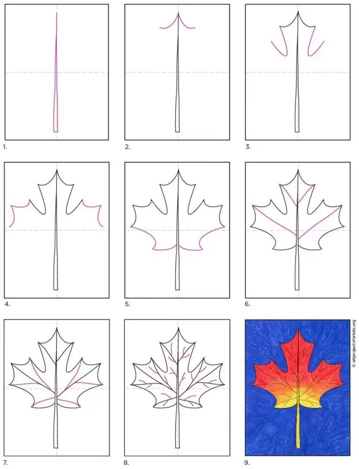Easy how to draw a maple leaf tutorial and maple leaf coloring page maple leaf drawing leaf drawing maple leaf art
