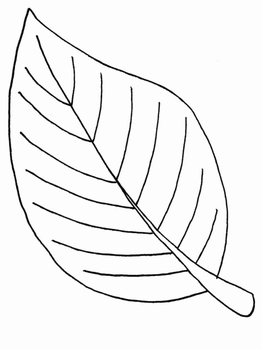 Leaf coloring pages coloring ville leaf coloring pages leaf coloring page printable leaves fall leaves coloring pages