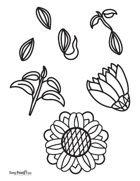 Printable sunflower coloring pages â sheets