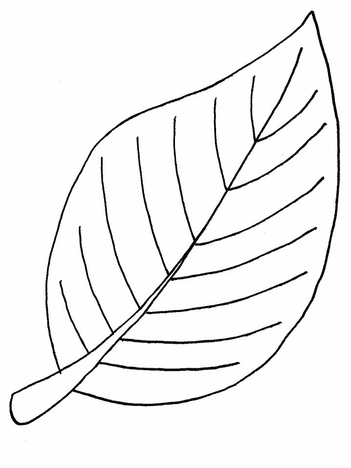 Leaf coloring page leaf coloring page printable leaves tree coloring page