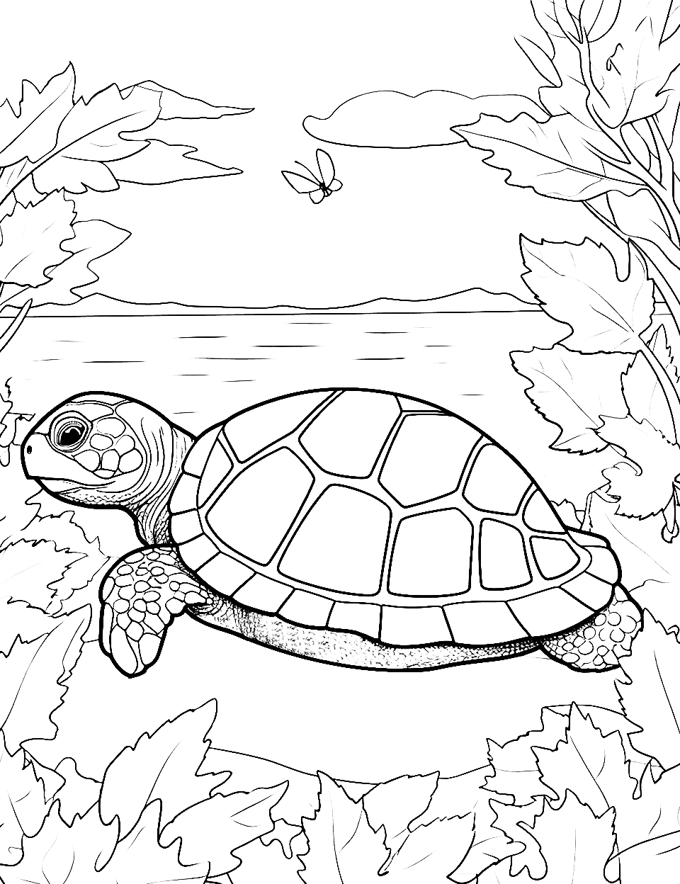 Turtle coloring pages free printable sheets