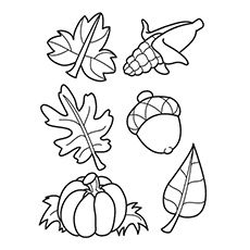 Top free printable leaf coloring pages online fall coloring pages fall leaves coloring pages fall coloring sheets