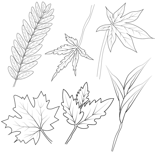 Premium vector free printable kids autumn leaves coloring pages