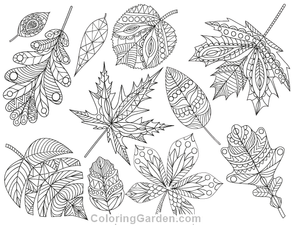 Fall leaves adult coloring page