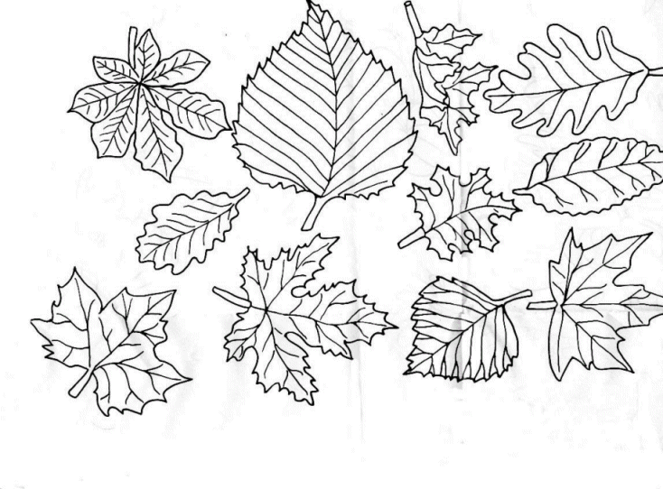 Coloring page