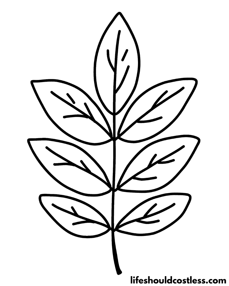 Leaf coloring pages free printable pdf templates