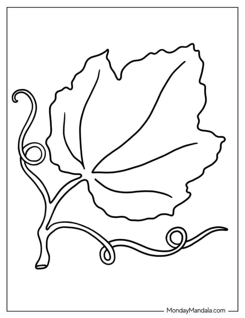 Leaf coloring pages free pdf printables