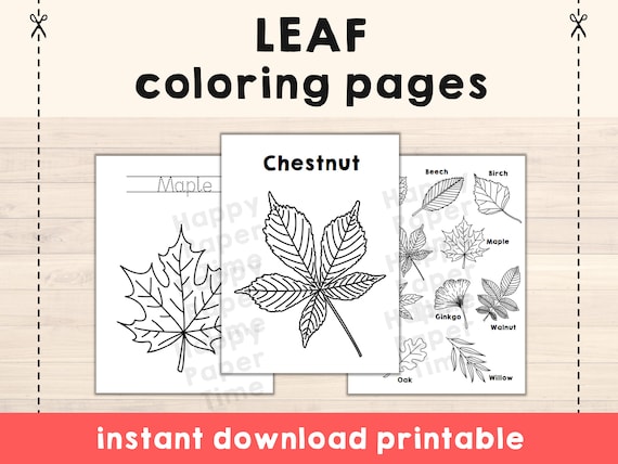Leaf coloring pages fall autumn leaves printable nature biology art craft activity for kids with tracing pdf file instant download