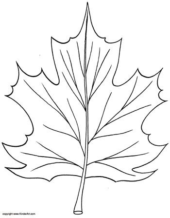 Maple leaf coloring page â