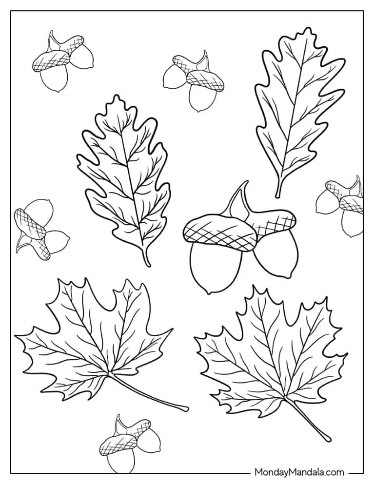 Fall leaves coloring pages free pdf printables
