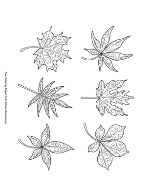 Six leaves coloring page â free printable pdf from