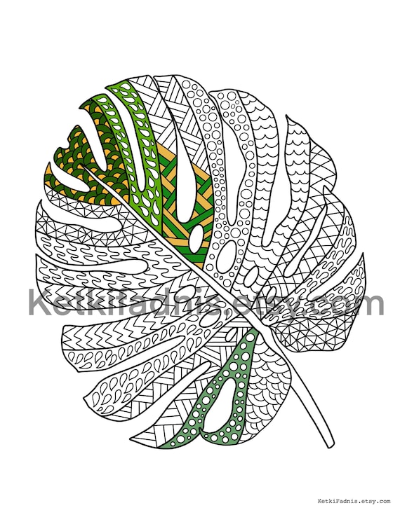 Monstera leaf coloring page flower coloring page pdf download digital download coloring page zentangle