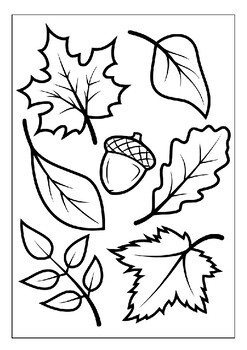 Printable leaf coloring pages collection an exciting way to explore nature pdf