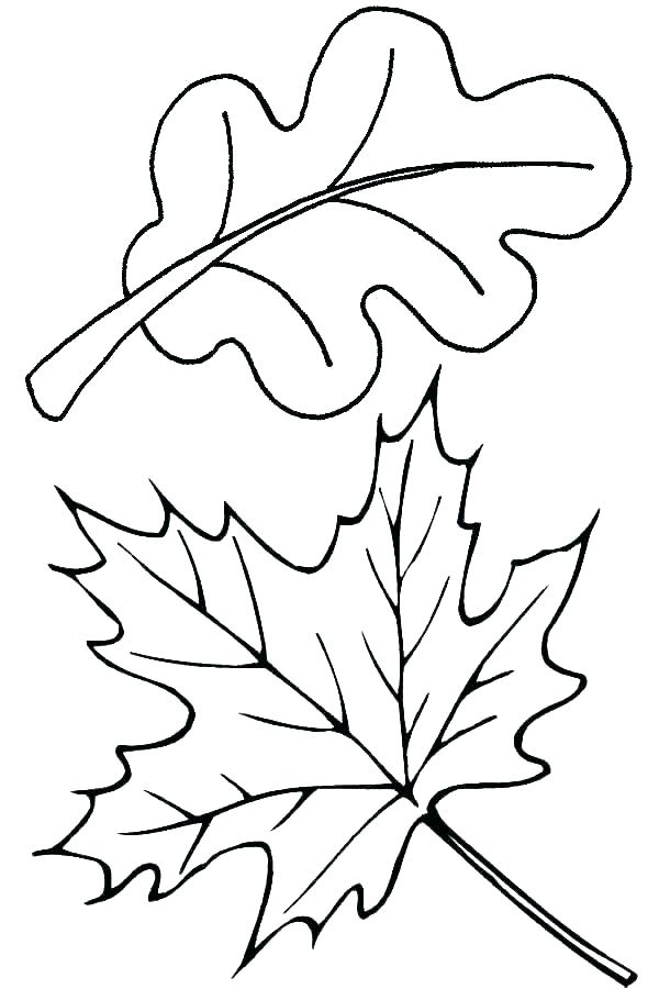 Coloring pages leaves coloring page