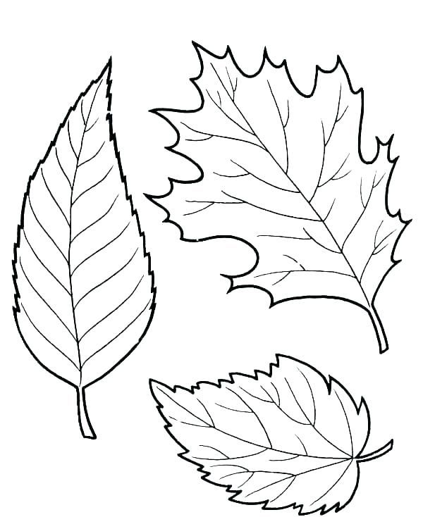 Coloring pages free leaf coloring pages for kids