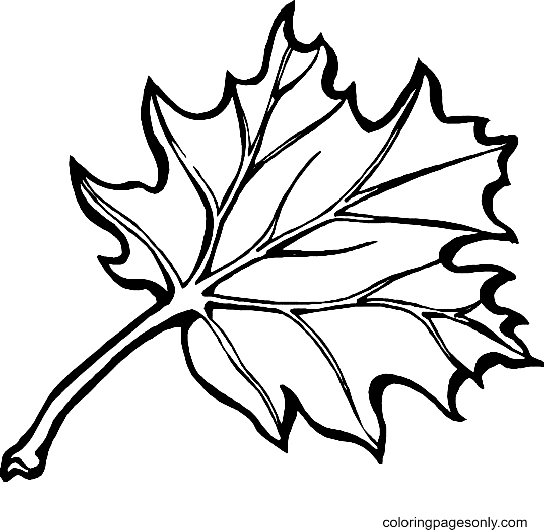 Autumn leaves coloring pages printable for free download