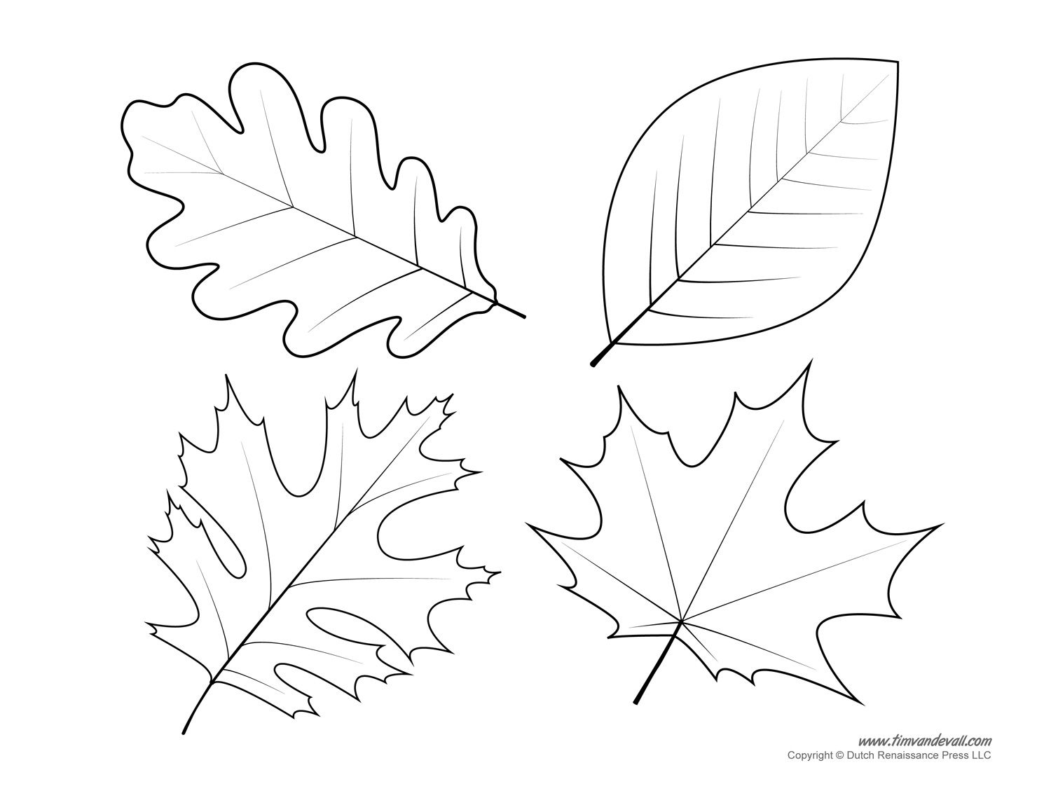 Leaf templates leaf coloring pages for kids leaf printables leaf coloring page fall leaves coloring pages leaf template printable