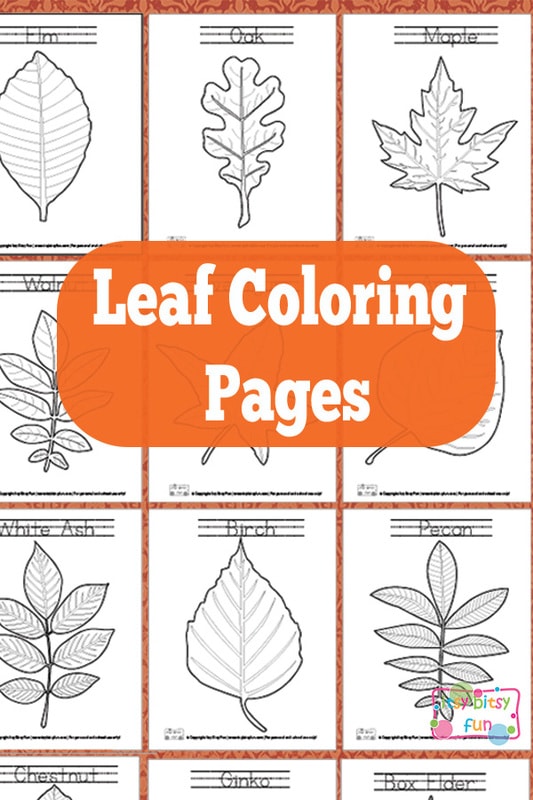 Leaf coloring pages