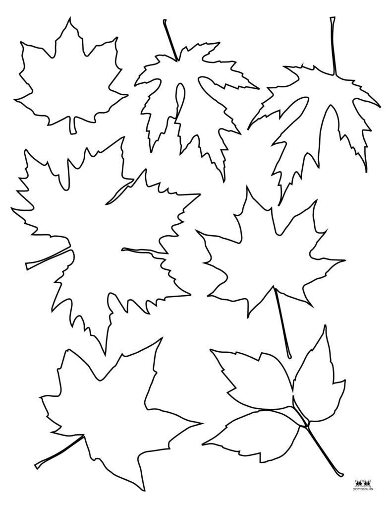 Leaf outlines templates coloring pages