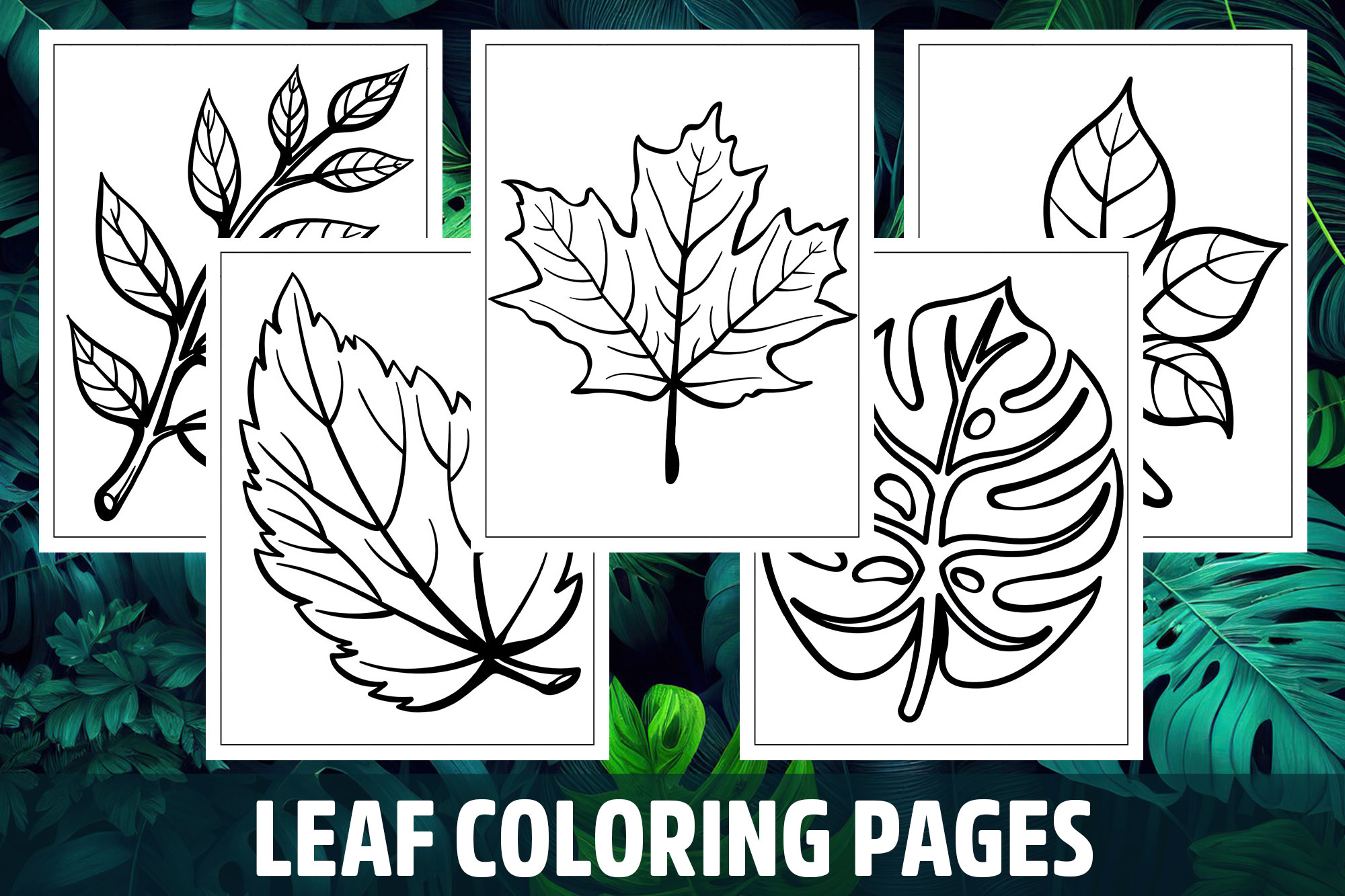 Leaf coloring pages for kids girls boys teens birthday school activity made by teachers