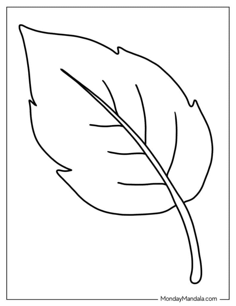 Leaf coloring pages free pdf printables