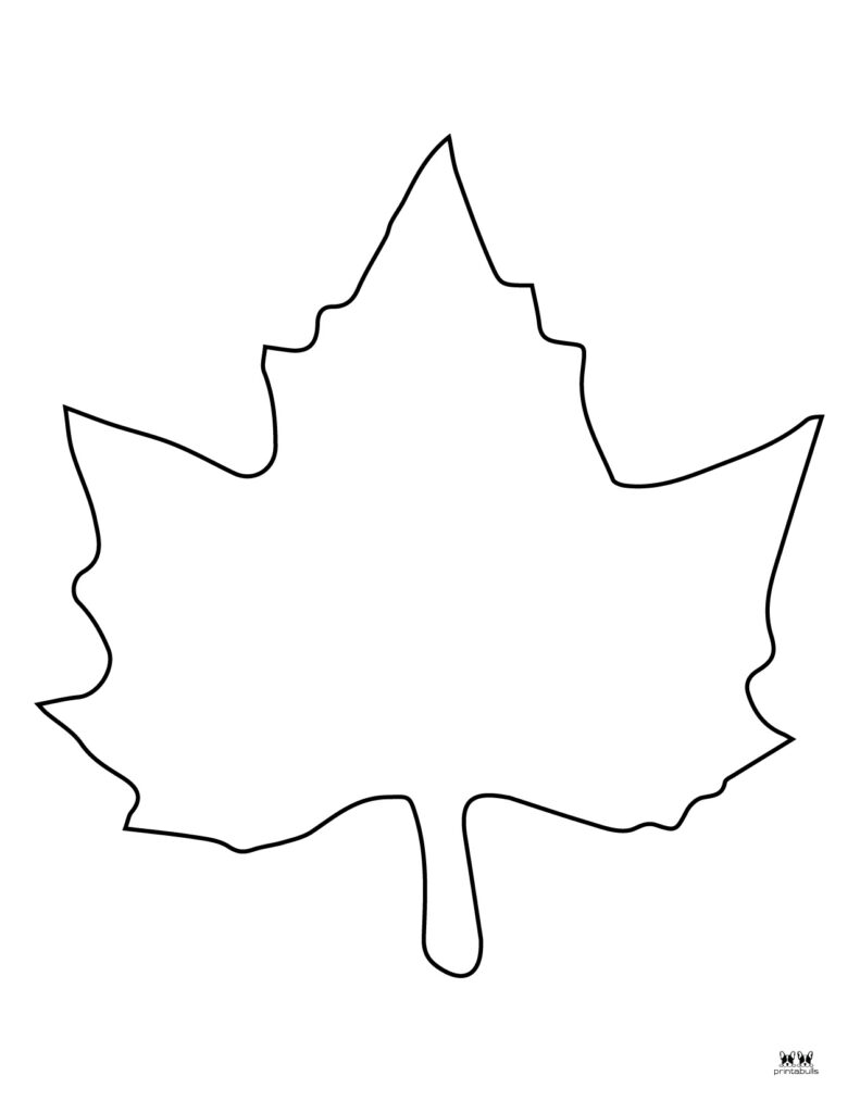 Leaf outlines templates coloring pages