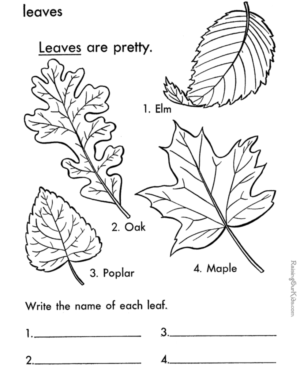 Leaf printable coloring pages