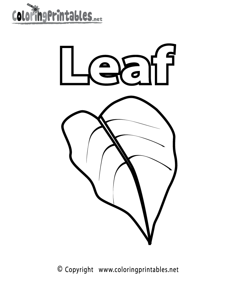 Free printable vocabulary leaf coloring page