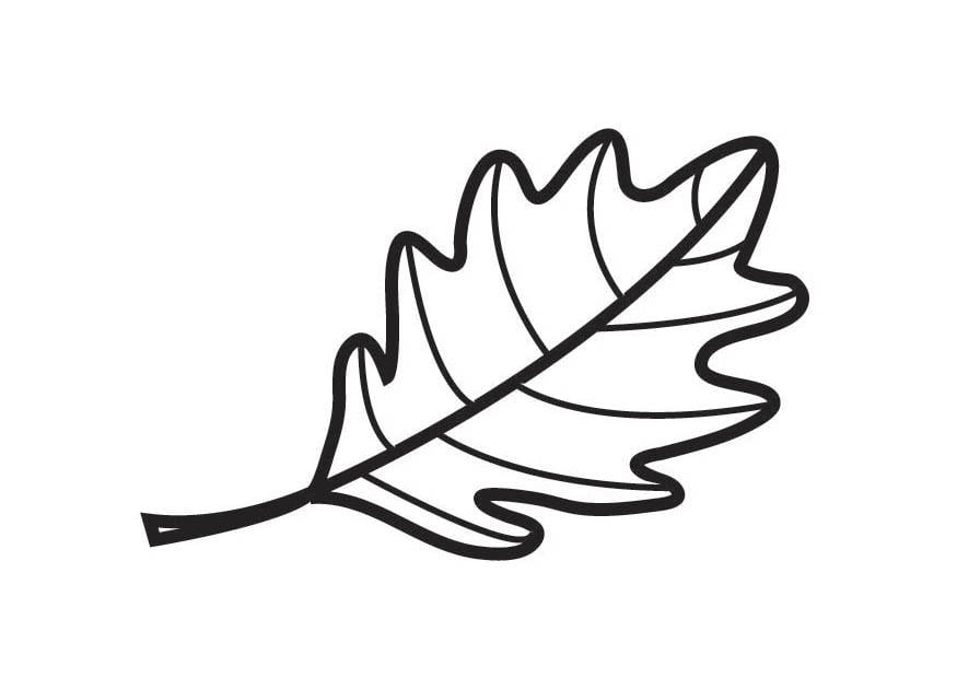 Coloring page oak leaf