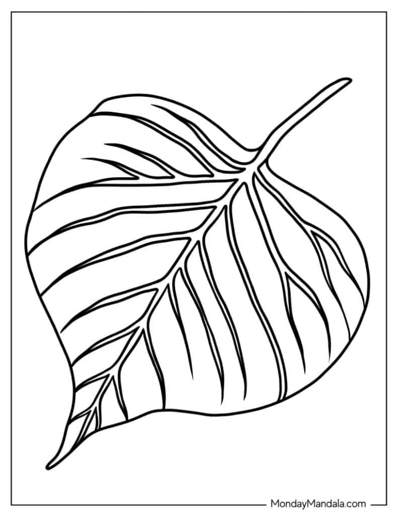 Leaf coloring pages free pdf printables