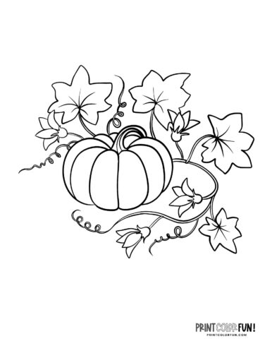 Pumpkin outline printables large blank pumpkin templates for autumn fun at