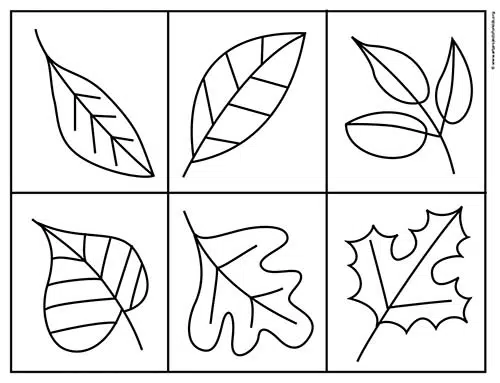 Easy how to draw a leaf tutorials with leaf drawing video coloring page