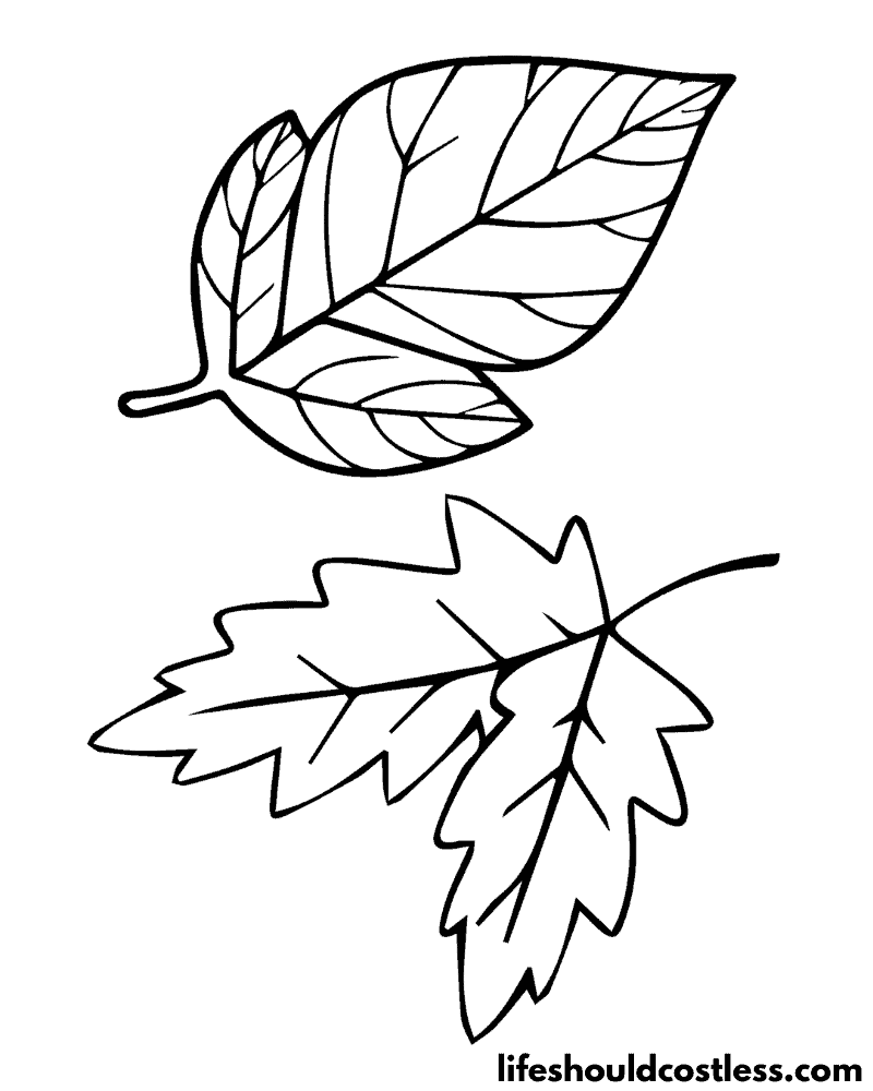 Leaf coloring pages free printable pdf templates