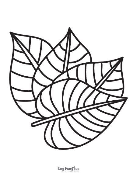 Printable leaf coloring pages â sheets