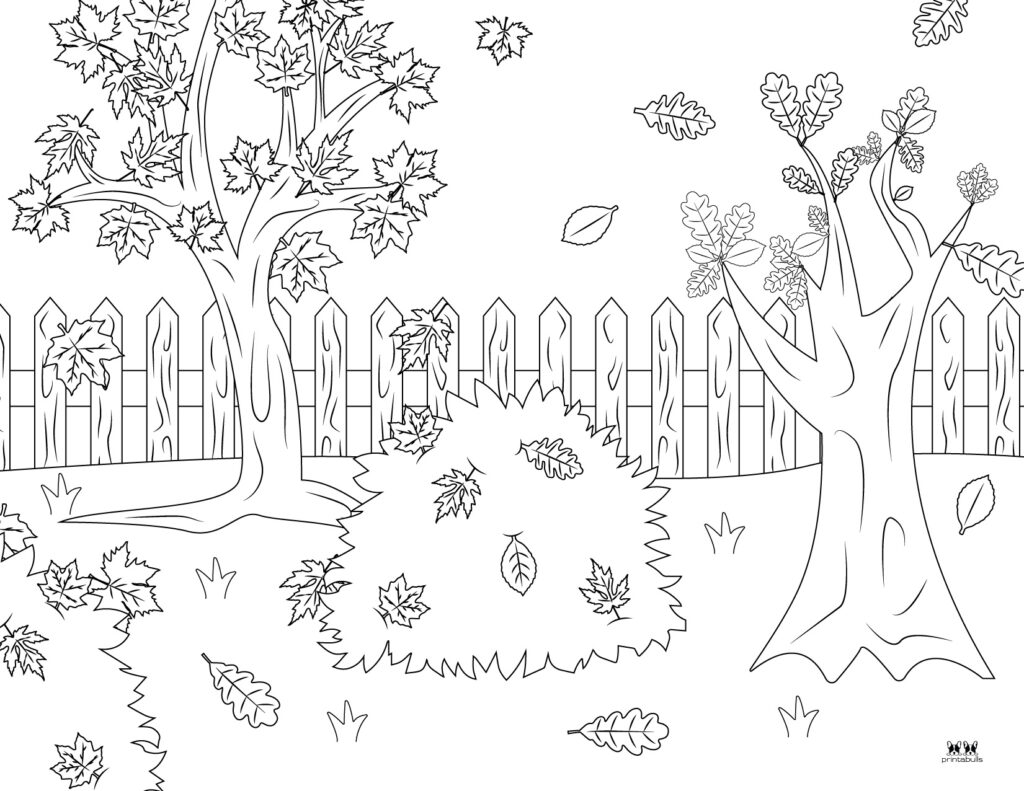 Leaf outlines templates coloring pages