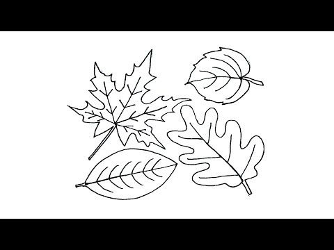 How to draw a leaf easy autumn leaves drawing easy fall leaves drawing leaf drawing leaf drawing easy