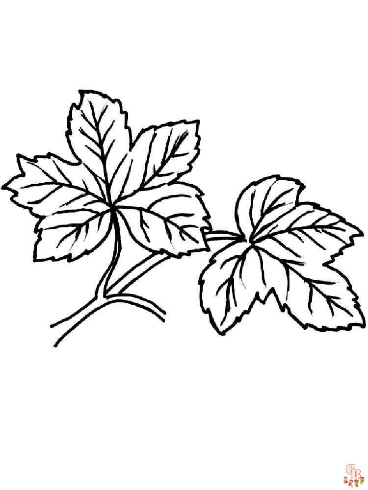 Leaf coloring pages