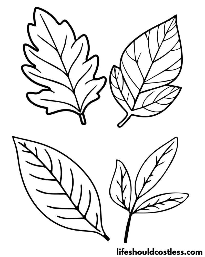 Leaf coloring pages free printable pdf templates