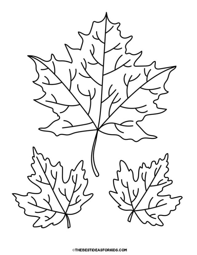 Leaf coloring pages free printables