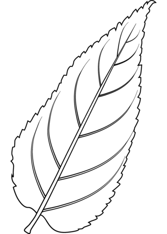 Mon hackberry leaf coloring page free printable coloring pages