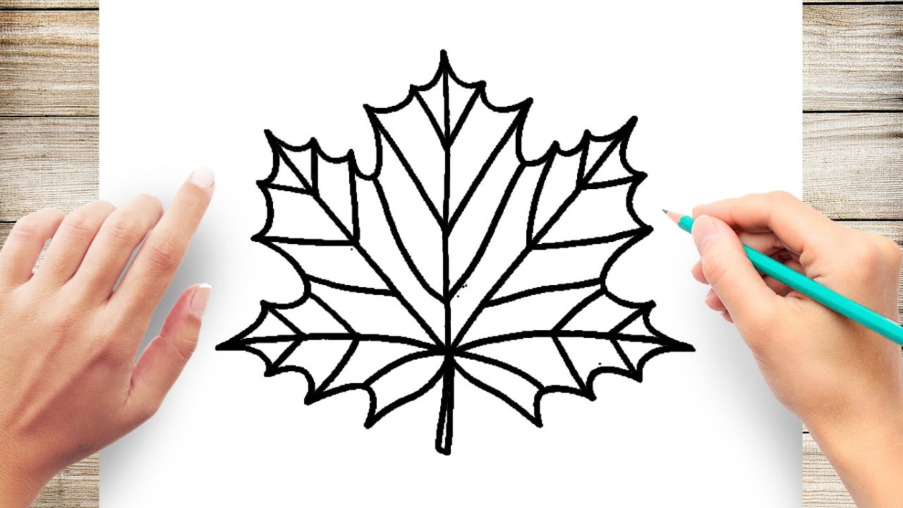 How to draw aple leaf easy