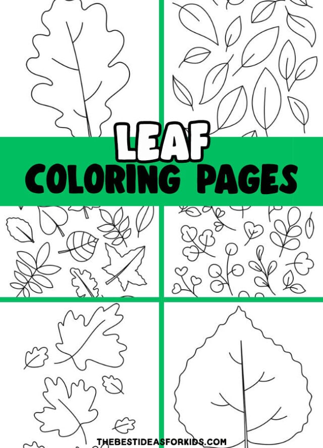 Leaf coloring pages free printables